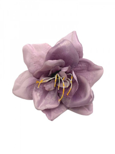 Amarylis główka 16 cm fioletowy
