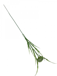 Czosnek gałązka 53 cm biało zielony
