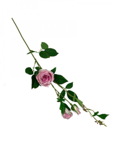 Róża kwiat pojedynczy 70 cm cukierkowy róż