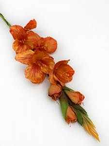 Mieczyk kwiat pojedynczy 85 cm pomarańczowy