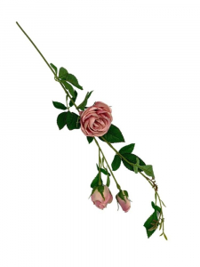 Róża kwiat pojedynczy 70 cm pudrowy róż