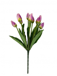 Bukiet 9 tulipanów 37 cm różowy