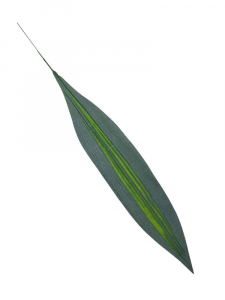 Liść 65 cm zielony