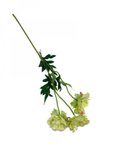 Anemon 3 kwiaty na gałązce 50 cm jasno zielone