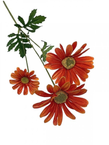 Margaretka kwiat pojedynczy 58 cm ceglana