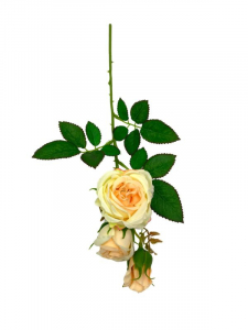 Róża kwiat pojedynczy 37,5 cm brzoskwiniowa