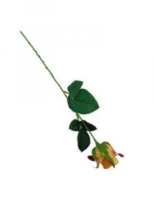 Róża kwiat pojedynczy 42 cm herbaciana