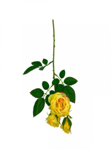 Róża kwiat pojedynczy 37,5 cm żółty