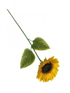 Słonecznik gałązka 64 cm żółty