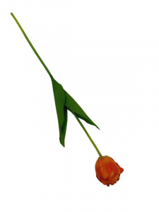Tulipan kwiat pojedynczy 58 cm ceglany