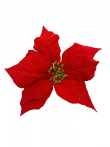 Gwiazda betlejemska welurowa kwiat wyrobowy XL 25 cm czerwona