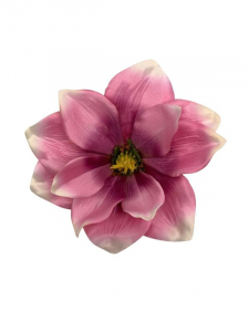 Magnolia główka 22 cm różowa