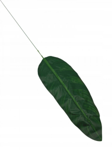 Liść bananowca 100 cm zielony