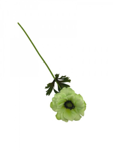 Anemon gałązka 36 cm zielony