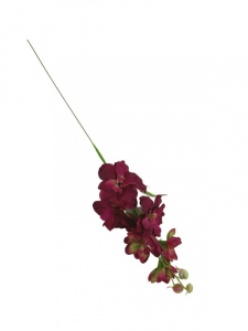 Ostróżka kwiat pojedynczy 44 cm bordowa