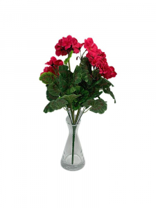 Pelargonia bukiet 45 cm malinowy róż