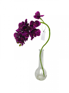 Storczyk kwiat pojedynczy 56 cm purpurowy