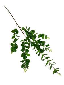 Eukaliptus gumowany gałązka 96 cm zielony