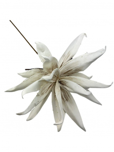 Kwiat egzotyczny piankowy 100 cm kremowy