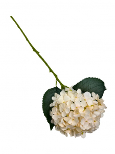 Hortensja gałązka 60 cm delikatna brzoskwinia