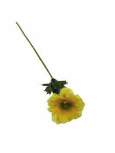 Anemon kwiat pojedynczy 36 cm żółty