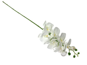 Storczyk kwiat pojedynczy 100 cm biały