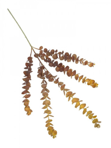 Eukaliptus gałązka plastikowa omszona 80 cm pomarańczowo brązowy