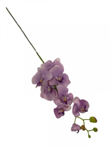 Storczyk kwiat pojedynczy 98 cm brudny fiolet