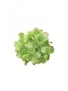 Hortensja kwiat wyrobowy 14 cm jasno zielona