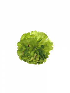 Goździk kwiat wyrobowy 8 cm zielony
