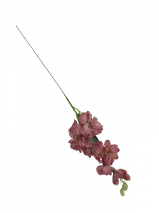 Ostróżka kwiat pojedynczy 44 cm brudny róż