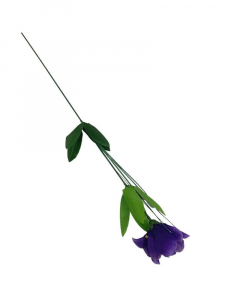 Irys kwiat pojedyczy 50 cm fioletowy