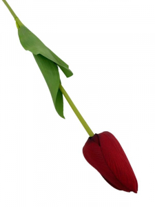 Tulipan kwiat pojedynczy 67 cm czerwony