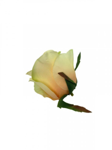 Róża główka 5 cm jasny brzoskwiniowa