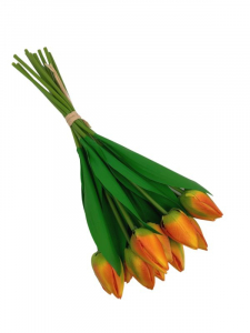 Tulipan wiązka 36 cm pomarańczowy