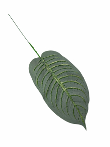 Liść omszony 43 cm zielono biały