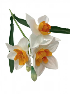 Narcyz kwiat pojedynczy 38 cm biały z pomarańczowym środkiem