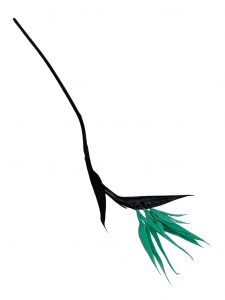 Strelicja Rajski ptak 84 cm turkusowa