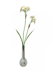 Narcyz kwiat pojedynczy 60 cm biały