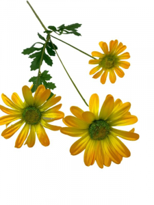 Margaretka kwiat pojedynczy 58 cm żółta
