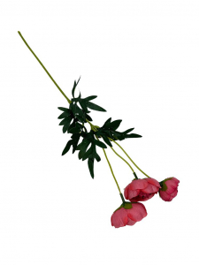Pełniki gałązka 50 cm ciemny róż