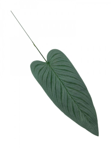 Liść 52 cm zielony