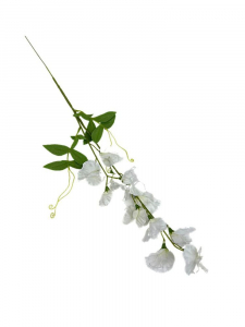 Groszek kwitnący gałązka 60 cm biały
