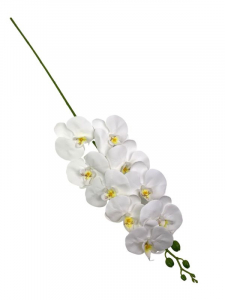 Storczyk kwiat pojedynczy 95 cm biały
