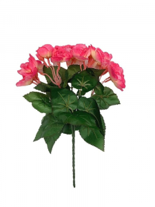 Begonia bukiet 31 cm różowa z kremem
