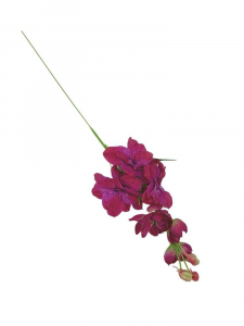 Ostróżka kwiat pojedynczy 44 cm fuksjowa