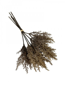 Wiązka traw omszonych 38 cm brązowa