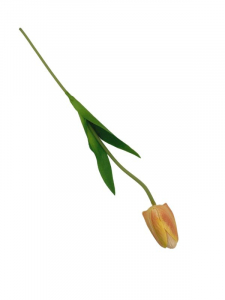 Tulipan kwiat pojedynczy 42 cm brzoskwiniowy