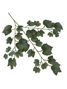 Liść winogrona XL 66 cm zielony