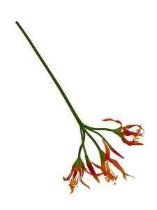 Ismena kwiaty gumowe gałązka 69 cm pomarańcz